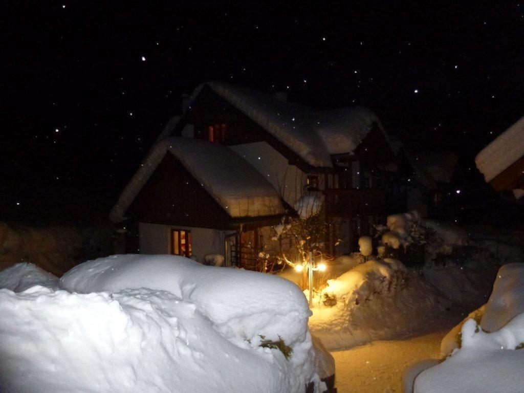 Ferienhaus Waldsicht Флахау Экстерьер фото