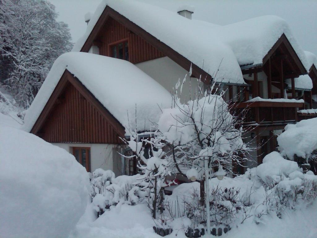 Ferienhaus Waldsicht Флахау Экстерьер фото